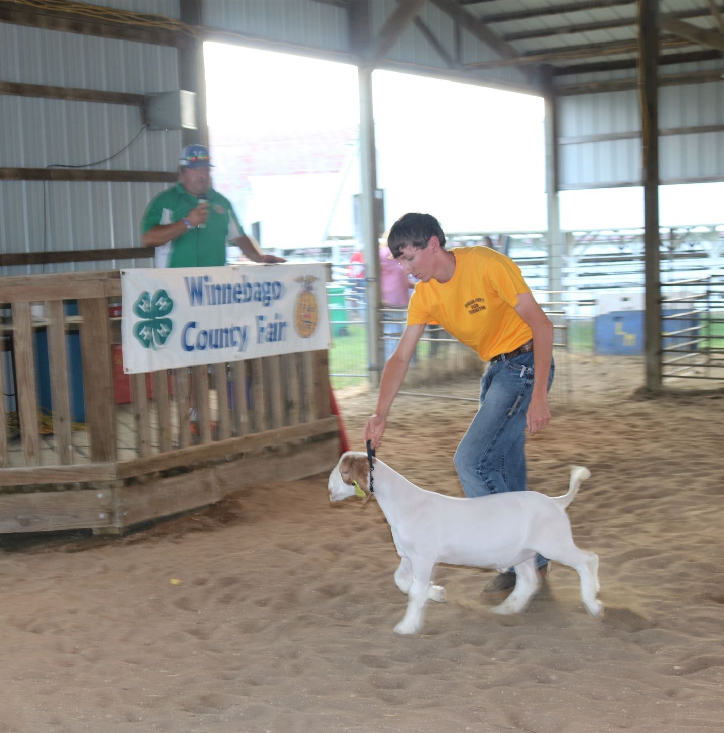 Colton Main Champion Market Goat on Parade July 17.JPG